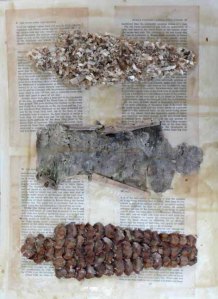 fig IV - paper, pine cones, sawdust, bark, beeswax - 30 x 41 cm